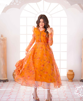 Luxury Printed Organza Frock Dress with Elegant Lace Detailings