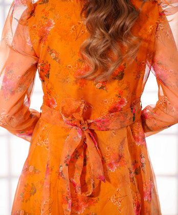 Luxury Printed Organza Frock Dress with Elegant Lace Detailings