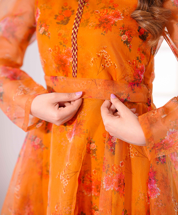 Luxury Printed Organza Frock Dress with Elegant Lace Detailings