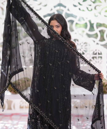 Stylish Court Style Black Dress for Special Occasions